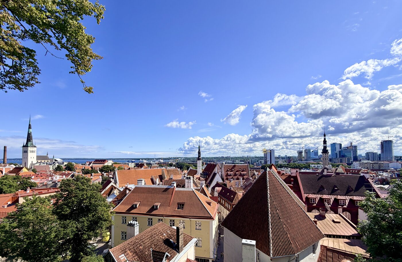 The rooftops of Tallinn's old town, where Avalonia is headquartered