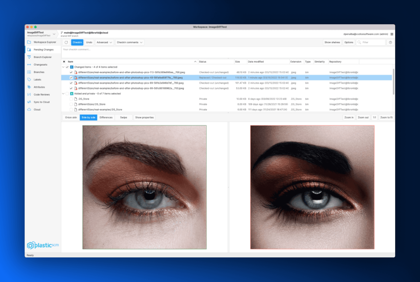 Unity’s Plastic SCM desktop client, built with Avalonia